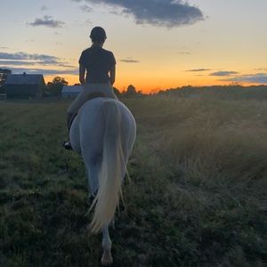 Meet your Posher, Taylor